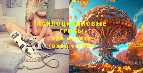 MDMA Богородск