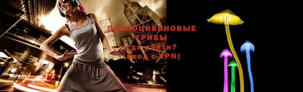 эйфоретик Богородицк