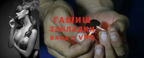 эйфоретик Богданович