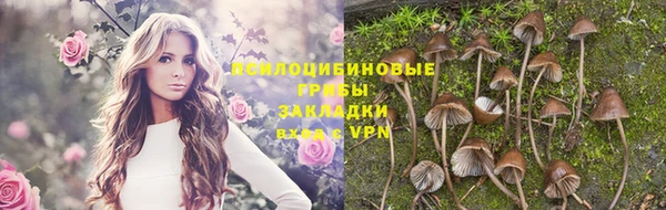 эйфоретик Богородицк