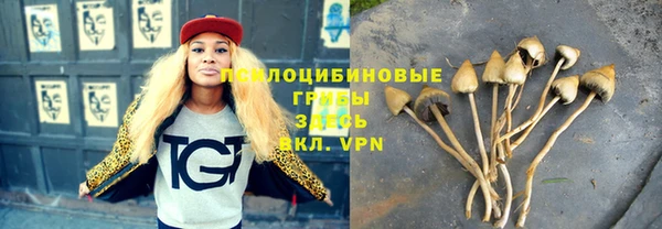 эйфоретик Богданович