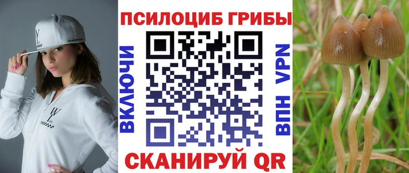 где купить наркоту  Новосибирск  Псилоцибиновые грибы Magic Shrooms 