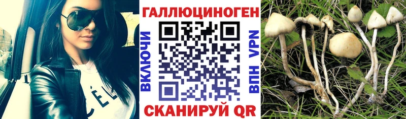 Галлюциногенные грибы GOLDEN TEACHER Новосибирск